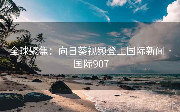 全球聚焦：向日葵视频登上国际新闻 · 国际907